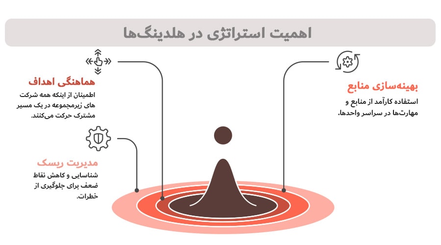 استراتژی هلدینگ